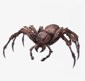 Transparent Wolf Spider Png - Acromantula Wizards Unite, Png Download, Free Download