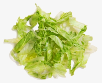 Shredded Lettuce Transparent Background, HD Png Download, Free Download