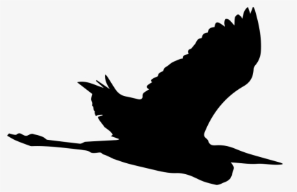 Crane Bird Great Blue Heron Silhouette - Heron Silhouette Png, Transparent Png, Free Download