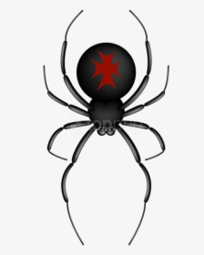 Transparent Background Cartoon Spider, HD Png Download, Free Download