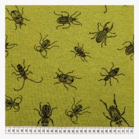 Weevil, HD Png Download, Free Download