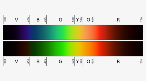 Transparent Color Spectrum Png - Blue Light Lens Test, Png Download, Free Download