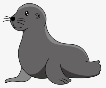 Baby Sea Lion Elephant Seal Clip Art - Clip Art Sea Lion, HD Png Download, Free Download