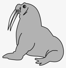 Elephant Seal Png, Transparent Png, Free Download