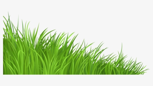 Transparent Vegetation Png - Transparent Grass Clipart Png, Png Download, Free Download