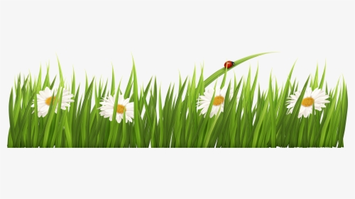 White Flowers With Grass Transparent Png Clipart - Transparent Background Grass Border, Png Download, Free Download