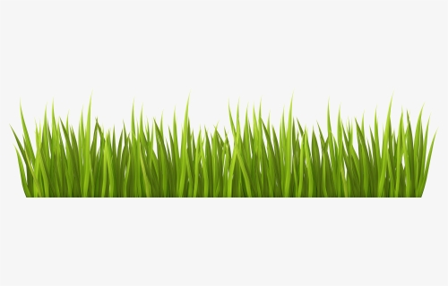 Grass Overlay Png Clipart Library Download - Clipart Grass Transparent Background, Png Download, Free Download