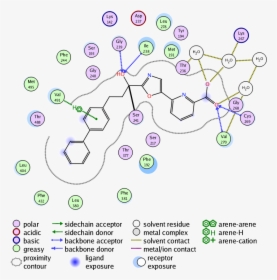 Ligand - Moe Ligand Interaction Diagrams, HD Png Download, Free Download