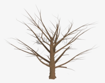 Dead Grass Png - Dead Tree Png, Transparent Png, Free Download
