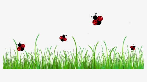 Grass Clipart Transparent Background - Ladybugs Png, Png Download, Free Download