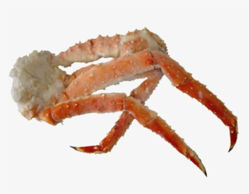Alaskan King Crab Leg - King Crab, HD Png Download, Free Download