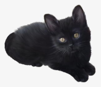 Black Kitten Transparent Background, HD Png Download, Free Download