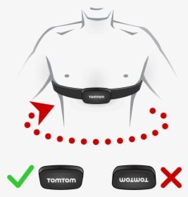 Heartbeat Monitor Png, Transparent Png, Free Download