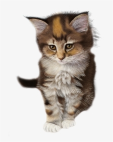 Cartoon Clipart Calico Kitten Transparent, HD Png Download, Free Download