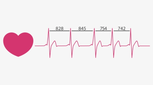 Heart Rate Variability Graph - Heart Rate Variability, HD Png Download, Free Download