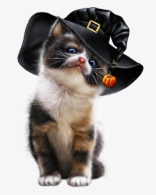 Kitty Clipart Hat - Tube Animaux Halloween Png, Transparent Png, Free Download