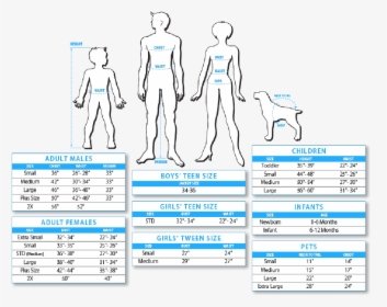 Costume Size Chart Party City, HD Png Download, Free Download