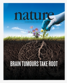 Graphic Of Nature Magazine Cover Showing A Gardener - Nature Brain Tumor 2019 Cover, HD Png Download, Free Download