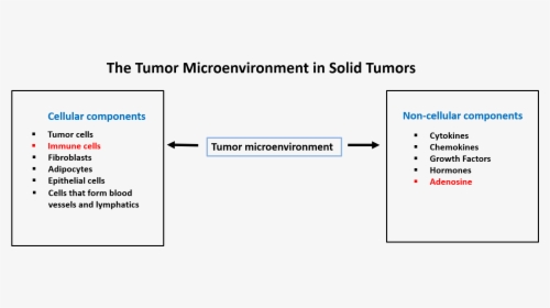 Tumor Microenvironment - Microsoft Dynamics, HD Png Download, Free Download