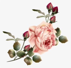 Vintage Roses Png - Vintage Flowers Transparent Background, Png Download, Free Download