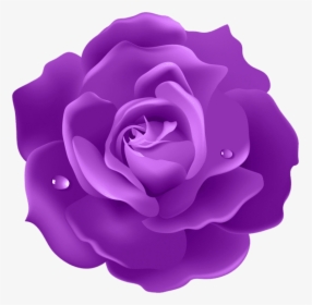 Purple Roses Png - Purple Rose Png, Transparent Png, Free Download