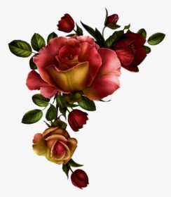 Floral Divider Png - Watercolor Red Roses Png, Transparent Png, Free Download