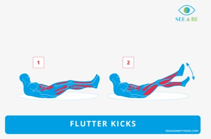 Flutter Kicks Muscle Group, HD Png Download, Free Download