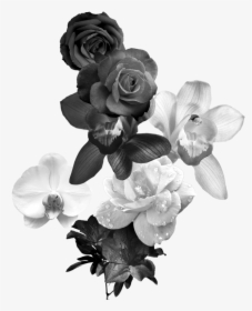 Black And White Flower Monochrome Photography - Black And White Flowers Png, Transparent Png, Free Download