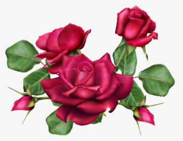 A Bouquet Of Roses, Png V - Floribunda, Transparent Png, Free Download