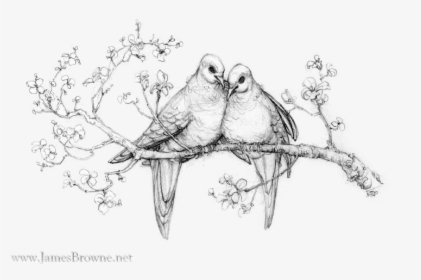Love Doves By Yaamas Jamesbrownedotnet Twilight"s Robert - Love Doves, HD Png Download, Free Download