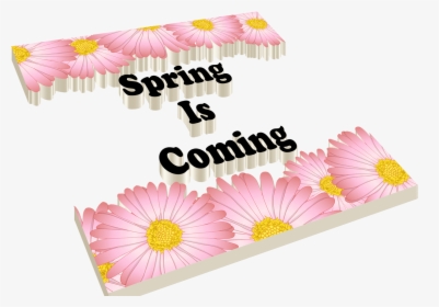 Transparent Spring Is Coming Clipart - Gerbera, HD Png Download, Free Download