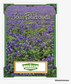 Texas Bluebonnet Seed Packet, HD Png Download, Free Download