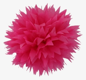 Transparent Pom Poms Png, Png Download, Free Download