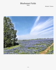Field, HD Png Download, Free Download