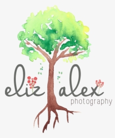 Elizabeth Alexander - Illustration, HD Png Download, Free Download