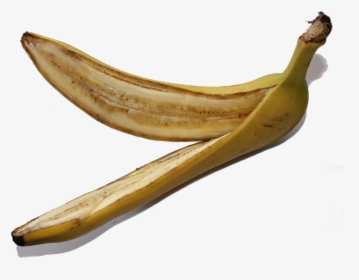 Banana Fruit Png Free Picture - เปลือก ผล ไม้ Png, Transparent Png, Free Download