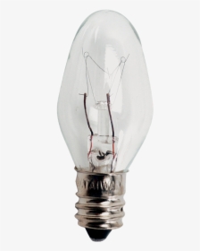 7c7 1 - Incandescent Light Bulb, HD Png Download, Free Download