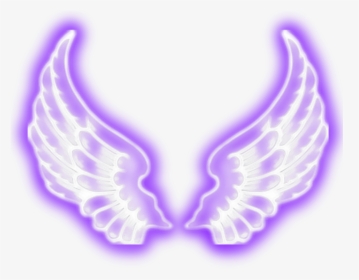Transparent Angel Wings Png Tumblr, Png Download, Free Download