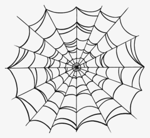 Transparent Tattoo Spider Web, HD Png Download, Free Download