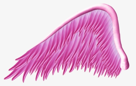 Purple Wings Png, Transparent Png, Free Download
