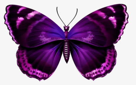 Pink Butterfly Wings Png Download, Transparent Png, Free Download