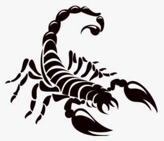 Spider Tattoo Png, Transparent Png, Free Download