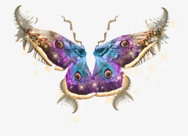 Purple Wings Png, Transparent Png, Free Download