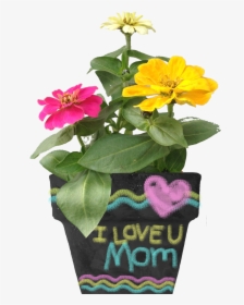 Give Mom A Mother"s Day Chalkboard Planter You Planted, HD Png Download, Free Download