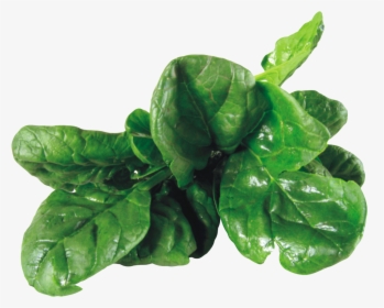 Spinach Png Image, Transparent Png, Free Download