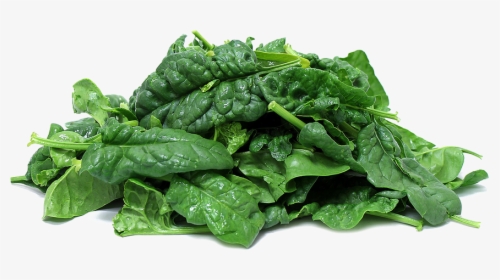 Download Spinach Png Clipart, Transparent Png, Free Download
