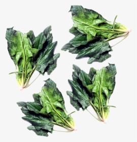 Green Spinach Png Image, Transparent Png, Free Download