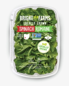 Local Baby Spinach, HD Png Download, Free Download