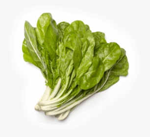 Leaf Cabbage,collard Greens,mustard Greens,vegetarian, HD Png Download, Free Download