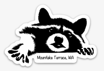 Racoon Clipart Black And White, HD Png Download, Free Download